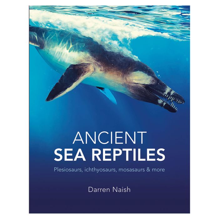 Ancient Sea Reptiles: Plesiosaurs, Ichthyosaurs, Mosasaurs & More main product photo