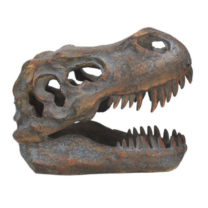 T. rex Small Replica Skull main product photo